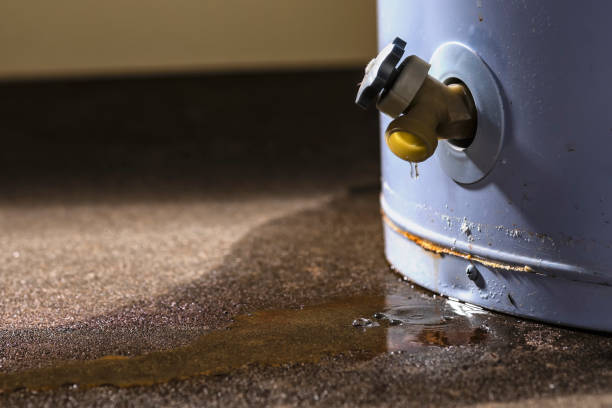 Best 24/7 water damage repair  in Geneseo, IL