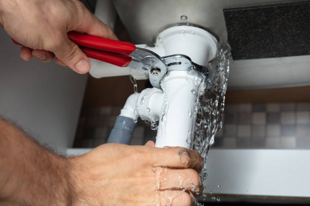 Best Flooded house restoration  in Geneseo, IL