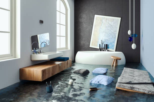Best Water damage restoration process  in Geneseo, IL