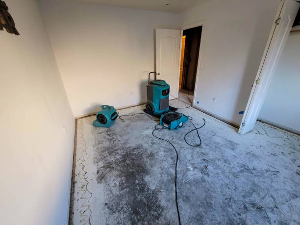 Best Ceiling water damage repair  in Geneseo, IL