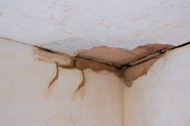 Water damage restoration experts in IL