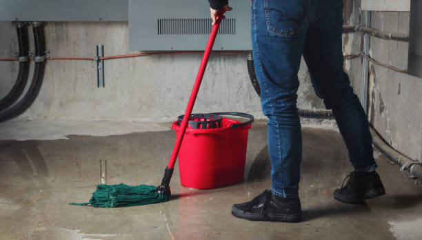 Best Local water damage restoration  in Geneseo, IL