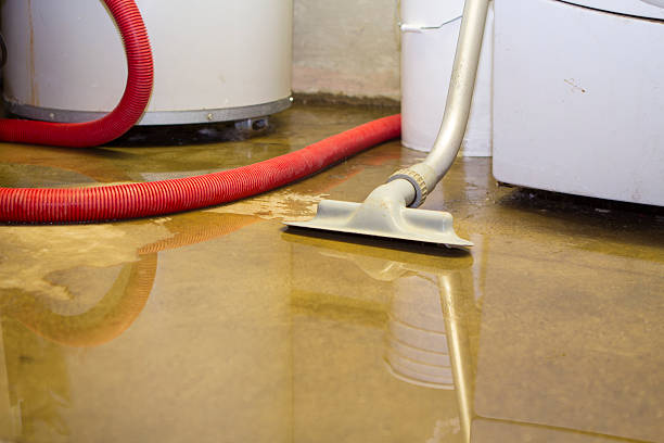 Best Water damage restoration near me  in Geneseo, IL