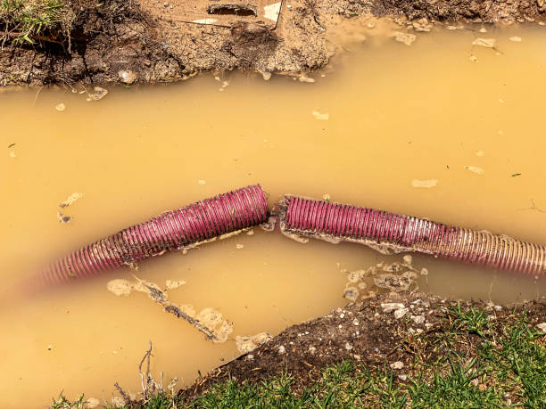 Best Emergency water damage restoration  in Geneseo, IL